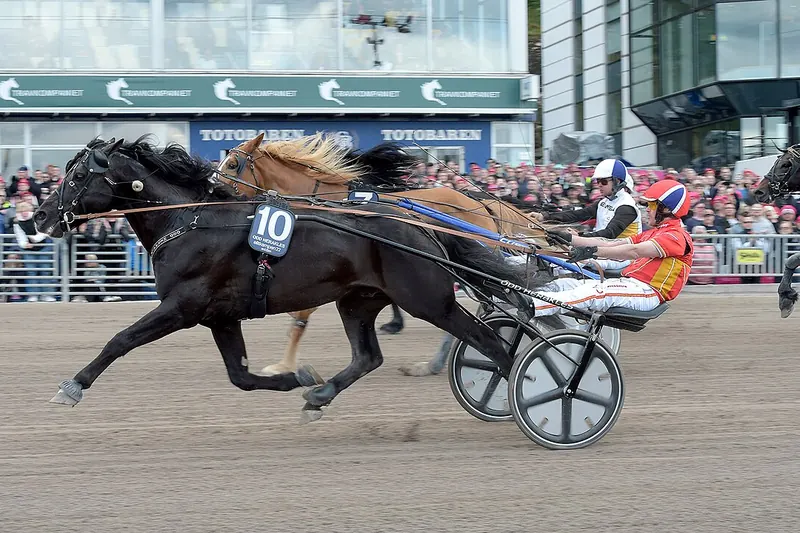 Speltips Trav