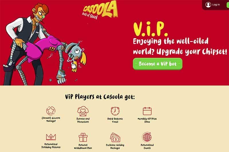 Casoola VIP Program